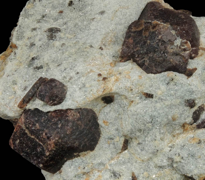 Almandine Garnet with Staurolite from Green's Farm, 750 m. ESE of Roxbury Falls, Roxbury, New Haven County, Connecticut