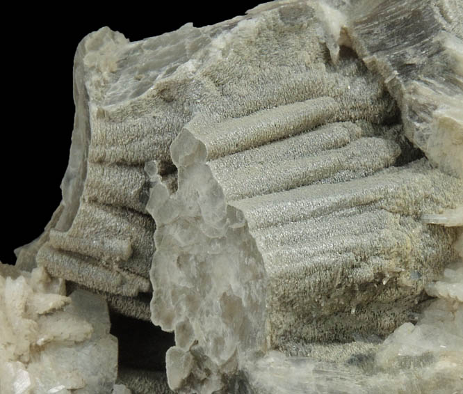 Muscovite (columnar crystals) on Albite var. Cleavelandite from Emmons Quarry, southeastern slope of Uncle Tom Mountain,  Greenwood, Oxford County, Maine