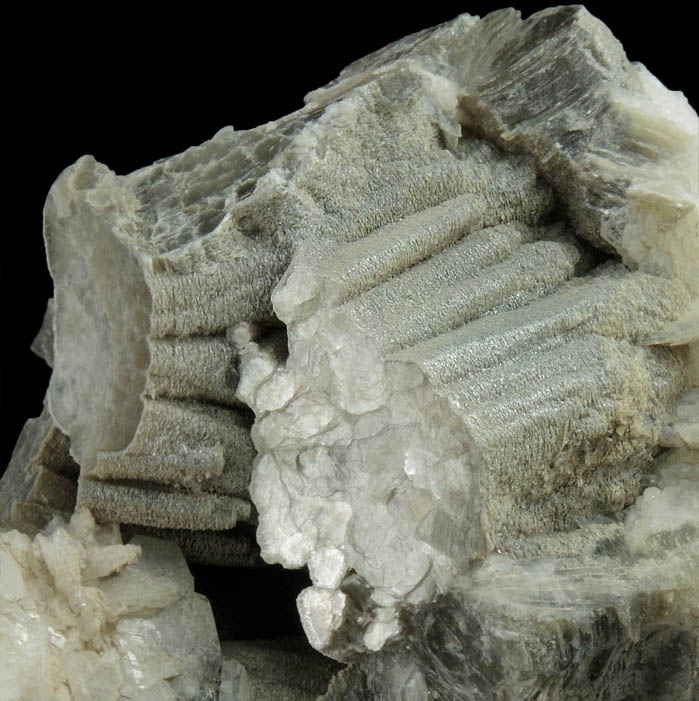 Muscovite (columnar crystals) on Albite var. Cleavelandite from Emmons Quarry, southeastern slope of Uncle Tom Mountain,  Greenwood, Oxford County, Maine