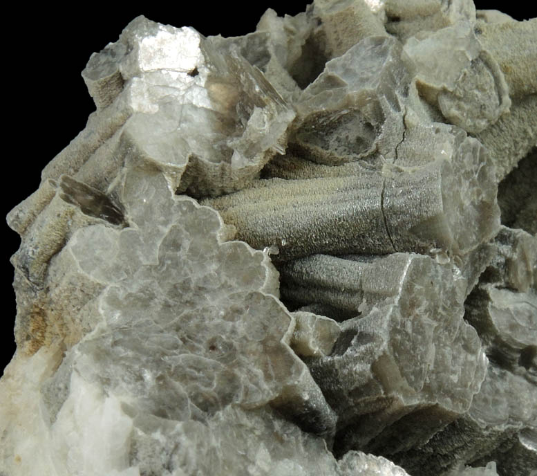 Muscovite (columnar crystals) on Albite var. Cleavelandite from Emmons Quarry, southeastern slope of Uncle Tom Mountain,  Greenwood, Oxford County, Maine