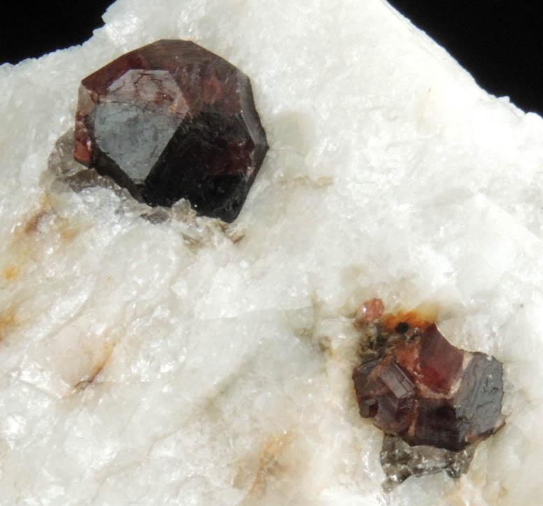 Almandine Garnet in Albite from Bennett Quarry, Buckfield, Oxford County, Maine