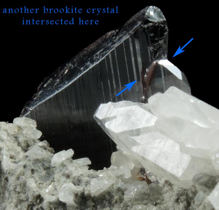 Brookite and Anatase on Quartz from Twll maen Grisial, Prenteg, Tremadog, Gwynedd, Wales (Type Locality for Brookite)