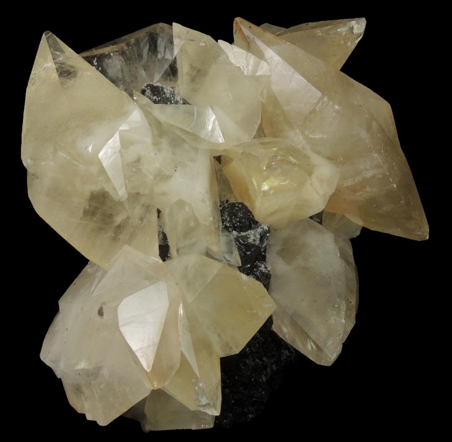 Calcite (twinned crystals) over Sphalerite from Elmwood Mine, Carthage, Smith County, Tennessee