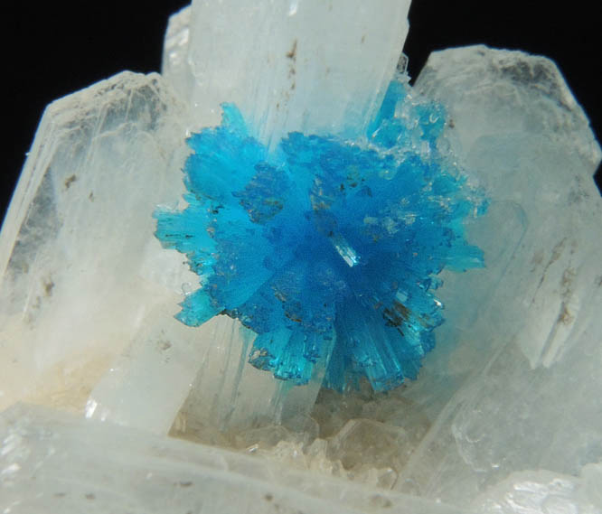 Cavansite on Stilbite from Wagholi Quarry, Maharashtra, India