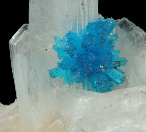 Cavansite on Stilbite from Wagholi Quarry, Maharashtra, India