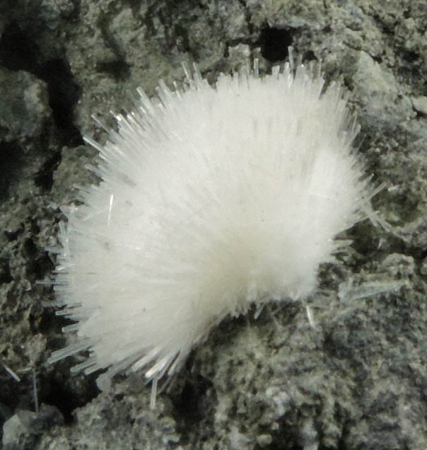 Natrolite with minor Calcite from Millington Quarry, Bernards Township, Somerset County, New Jersey