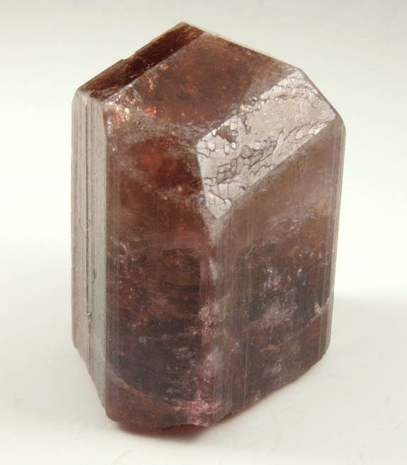 Elbaite var. Rubellite Tourmaline from Alto Ligonha District, Zambezia, Mozambique