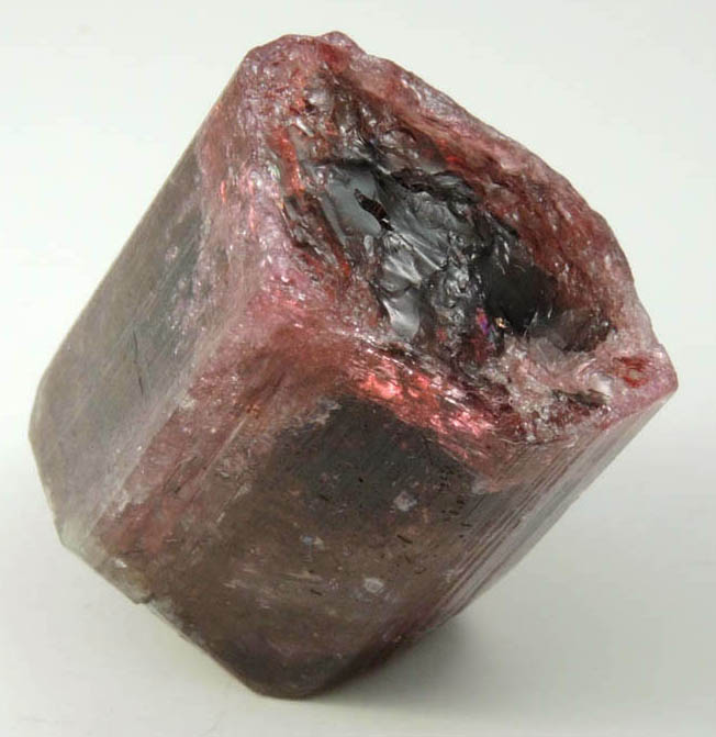 Elbaite var. Rubellite Tourmaline from Alto Ligonha District, Zambezia, Mozambique