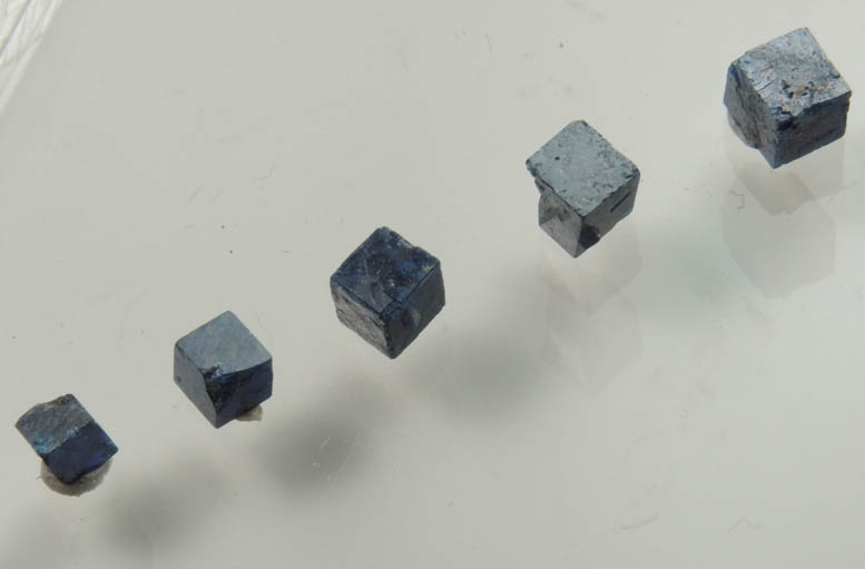 Boleite (set of 8 crystals) from Amelia Mine, Boleo District, near Santa Rosalía, Baja California Sur, Mexico (Type Locality for Boleite)
