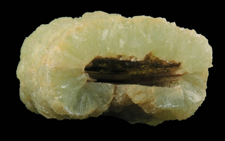 Prehnite pseudomorphs after Anhydrite from Lane's Quarry, Westfield, Hampden County, Massachusetts