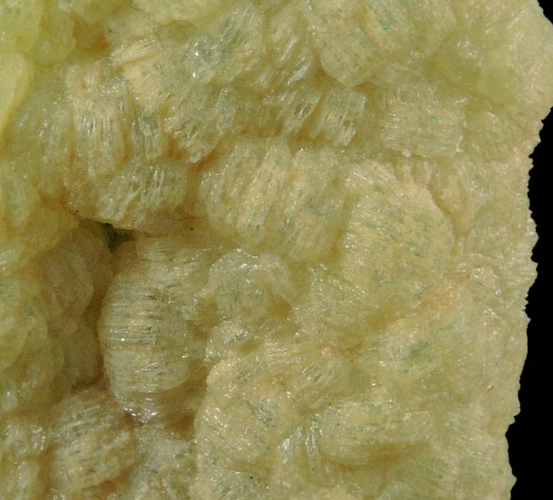 Prehnite pseudomorphs after Anhydrite from Lane's Quarry, Westfield, Hampden County, Massachusetts