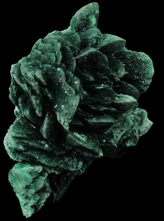 Malachite pseudomorphs after Azurite from Milpillas Mine, Cuitaca, Sonora, Mexico