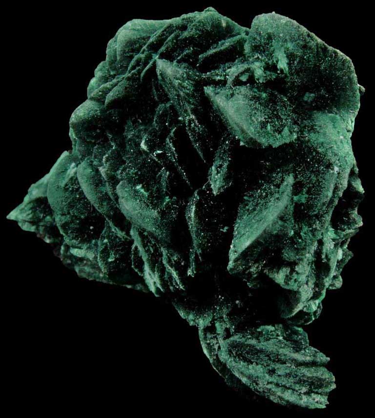 Malachite pseudomorphs after Azurite from Milpillas Mine, Cuitaca, Sonora, Mexico