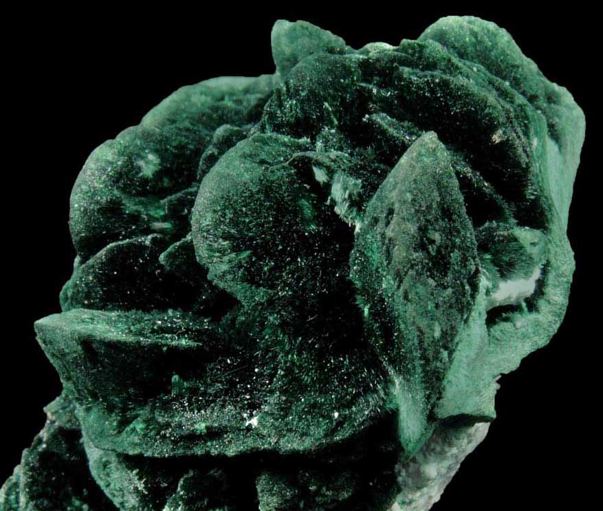 Malachite pseudomorphs after Azurite from Milpillas Mine, Cuitaca, Sonora, Mexico