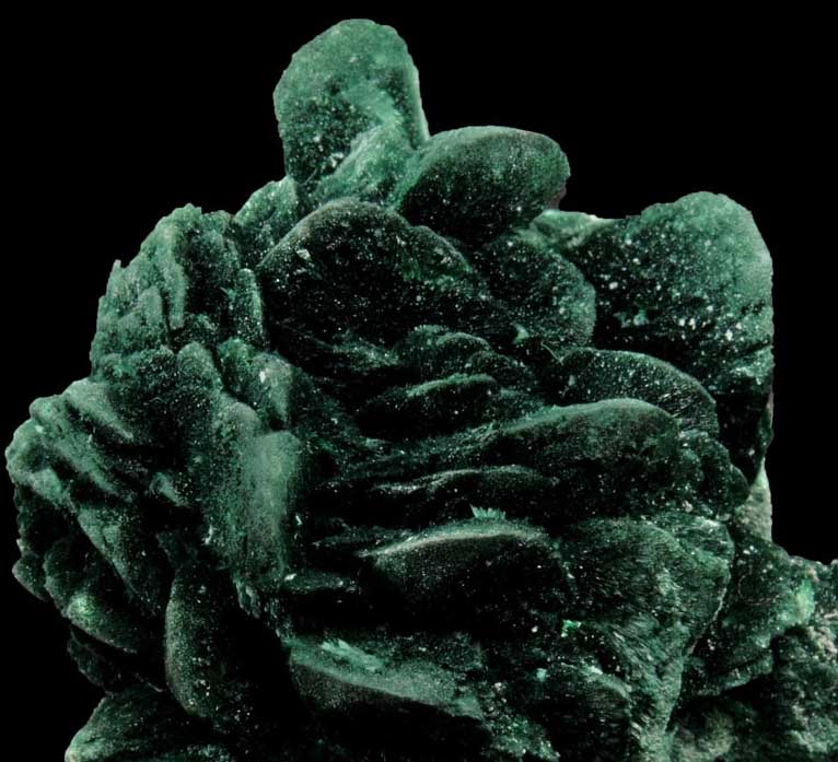 Malachite pseudomorphs after Azurite from Milpillas Mine, Cuitaca, Sonora, Mexico