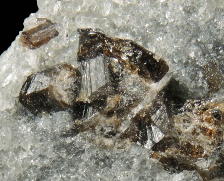 Dravite-Uvite Tourmaline in Inwood Marble from Inwood Hill, New York City, Manhattan Island, New York County, New York
