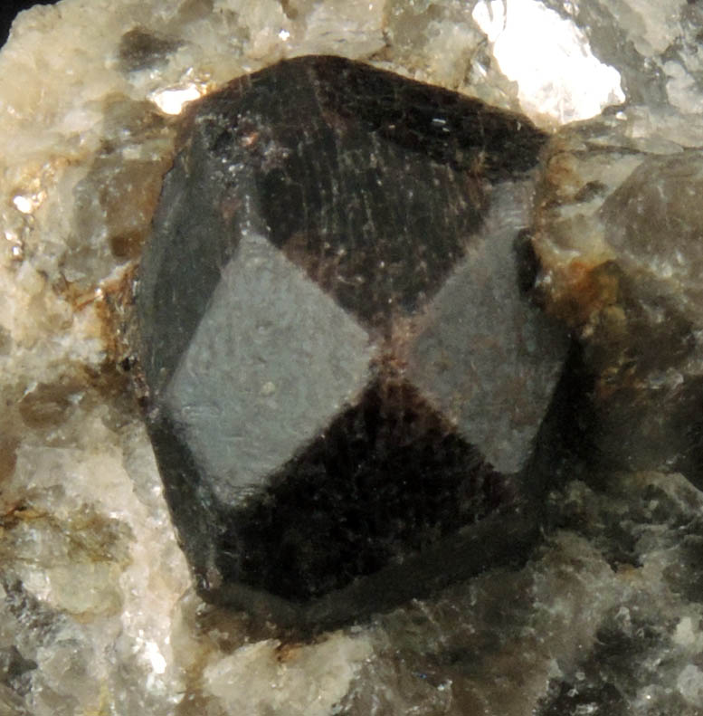 Almandine in Quartz and Albite from 65th Street at Columbus Avenue, New York City, Manhattan Island, New York County, New York