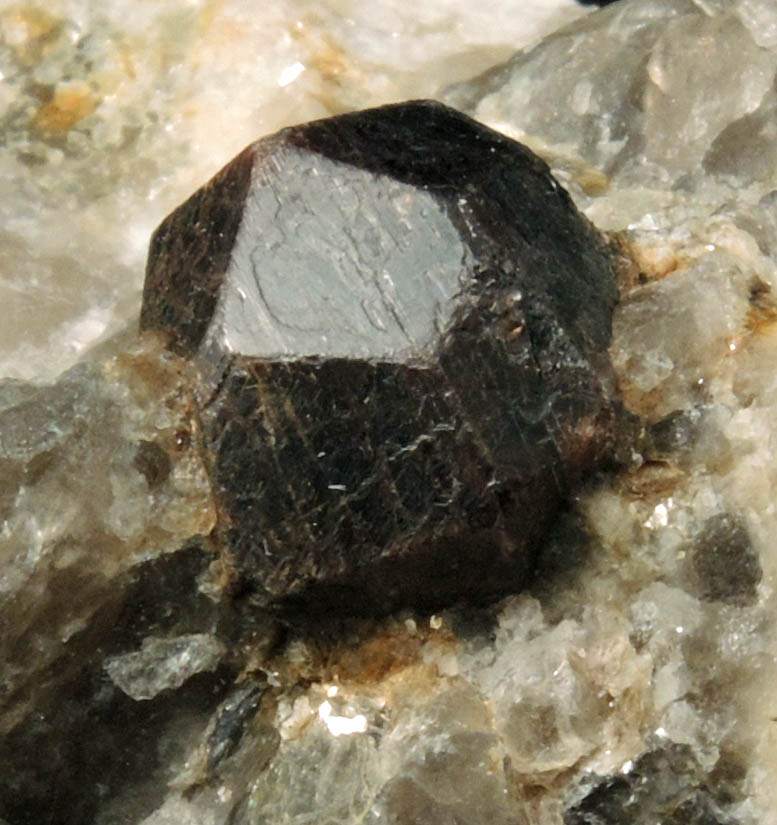 Almandine in Quartz and Albite from 65th Street at Columbus Avenue, New York City, Manhattan Island, New York County, New York