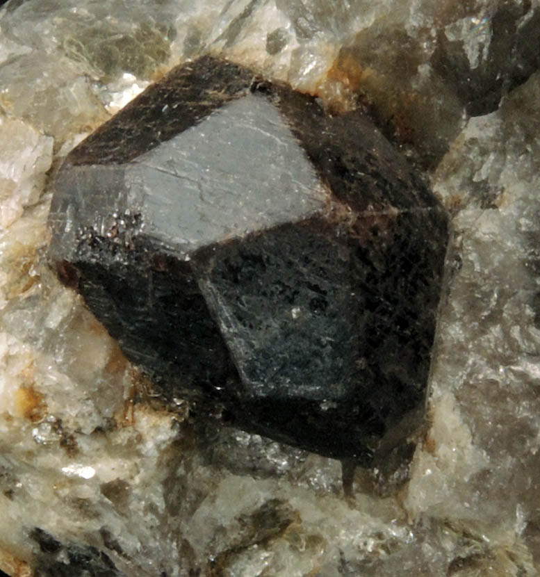 Almandine in Quartz and Albite from 65th Street at Columbus Avenue, New York City, Manhattan Island, New York County, New York