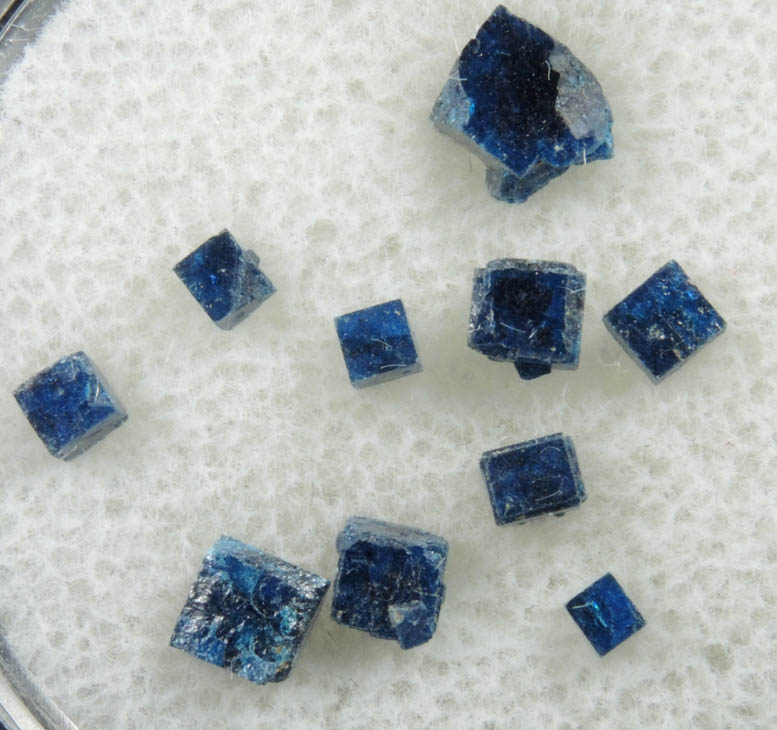 Boleite (set of 10 crystals) from Amelia Mine, Boleo District, near Santa Rosala, Baja California Sur, Mexico (Type Locality for Boleite)