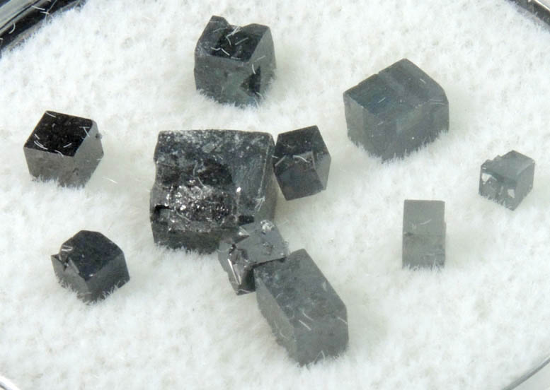 Magnetite exhibiting rare cubic habit (set of 8 crystals) from ZCA Mine No. 4, Fowler Ore Body, 2500' Level, Balmat, St. Lawrence County, New York