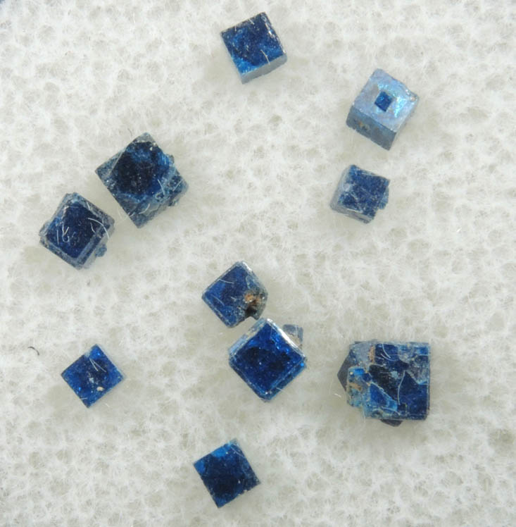 Boleite (set of 10 crystals) from Amelia Mine, Boleo District, near Santa Rosala, Baja California Sur, Mexico (Type Locality for Boleite)