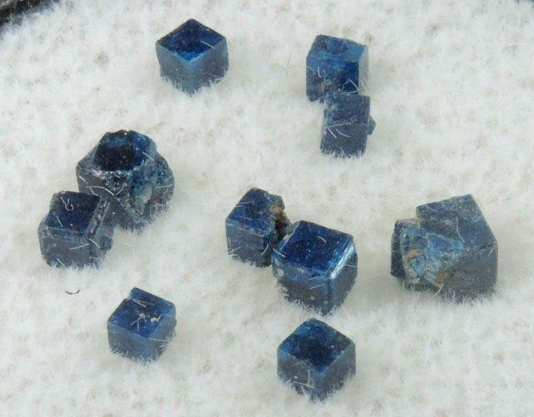Boleite (set of 10 crystals) from Amelia Mine, Boleo District, near Santa Rosalía, Baja California Sur, Mexico (Type Locality for Boleite)