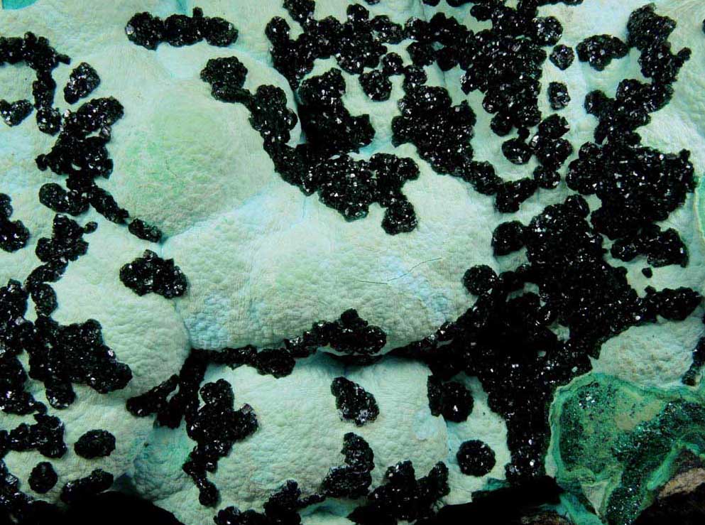 Malachite on Chrysocolla from Lubumbashi, Katanga Copperbelt, Haut-Katanga Province, Democratic Republic of the Congo