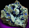 Azurite on Chrysocolla from Morenci Mine, NW Extension, Clifton District, Greenlee County, Arizona