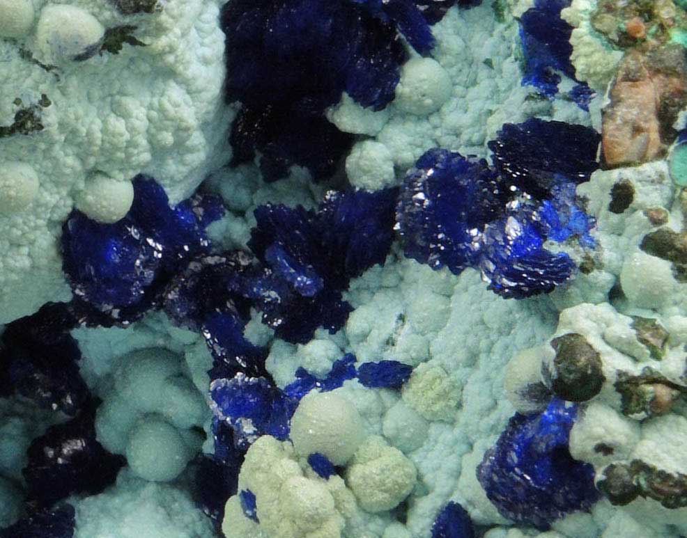 Azurite on Chrysocolla from Morenci Mine, NW Extension, Clifton District, Greenlee County, Arizona