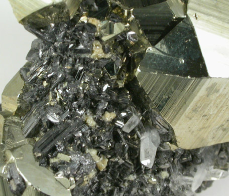 Enargite on Pyrite from Leonard Mine, Butte Mining District, Summit Valley, Silver Bow County, Montana