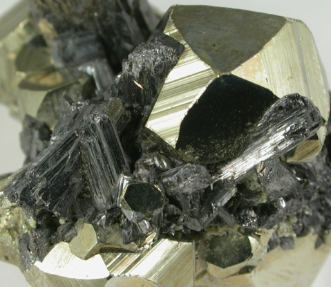 Enargite on Pyrite from Leonard Mine, Butte Mining District, Summit Valley, Silver Bow County, Montana