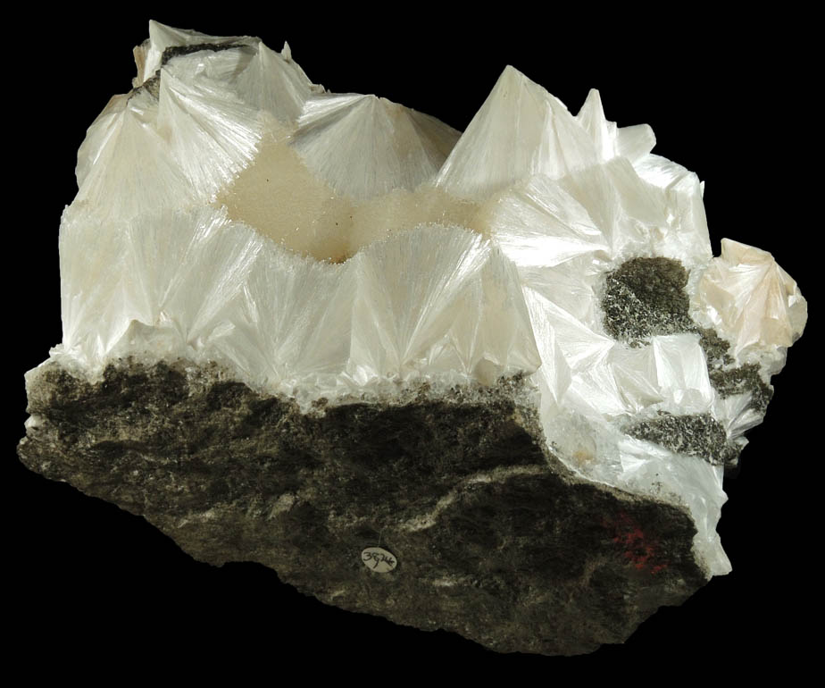 Pectolite from Weehawken (probably Bergen Tunnel), Hudson County, New Jersey