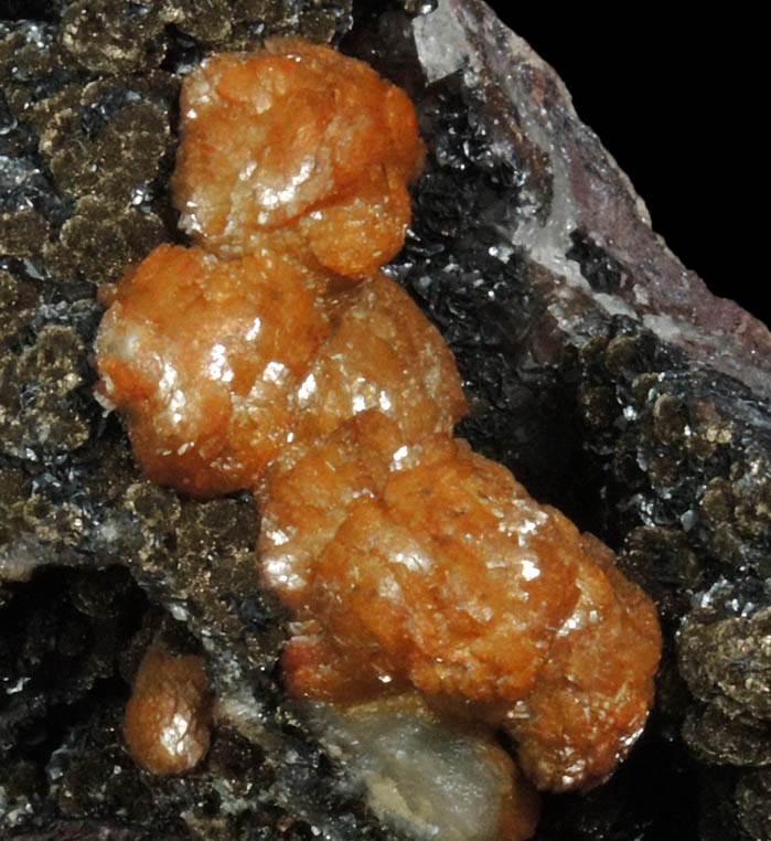 Siderite var. Sphaerosiderite on Stilpnomelane var. Chalcodite with Hematite from Sterling Mine, Antwerp, St. Lawrence County, New York