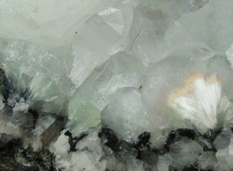 Apophyllite over Prehnite with minor Pectolite from Great Notch, Little Falls Township, Passaic County, New Jersey