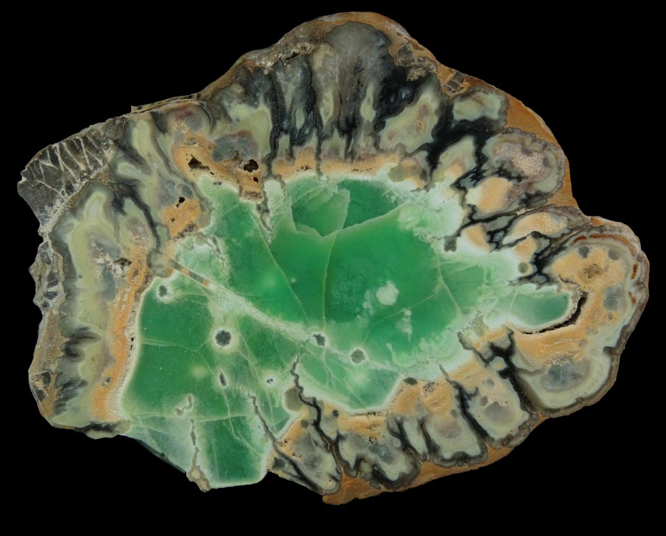 Variscite, Wardite, Crandallite from Little Green Monster Variscite Mine, Clay Canyon, Fairfield, Utah