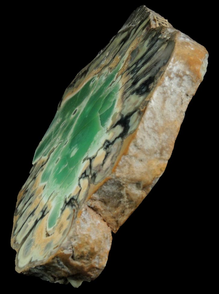 Variscite, Wardite, Crandallite from Little Green Monster Variscite Mine, Clay Canyon, Fairfield, Utah