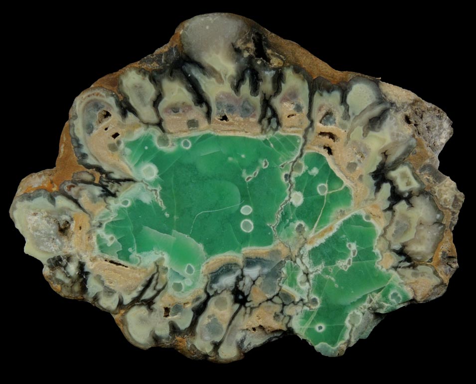 Variscite, Wardite, Crandallite from Little Green Monster Variscite Mine, Clay Canyon, Fairfield, Utah