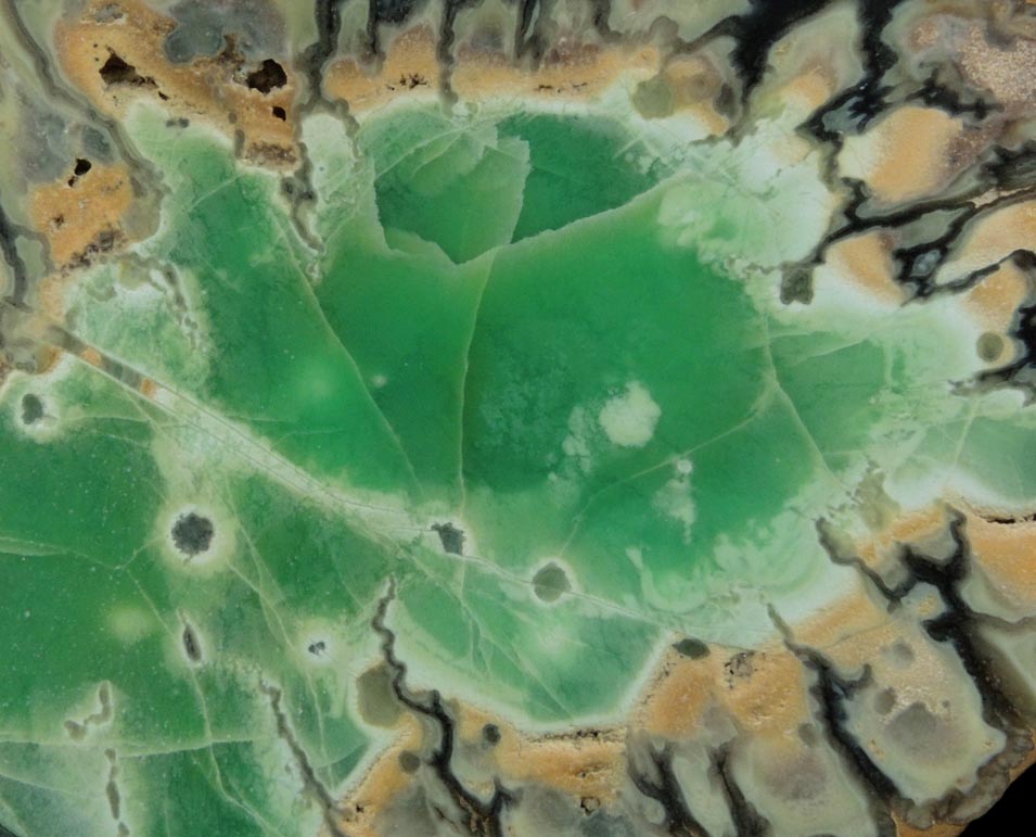 Variscite, Wardite, Crandallite from Little Green Monster Variscite Mine, Clay Canyon, Fairfield, Utah