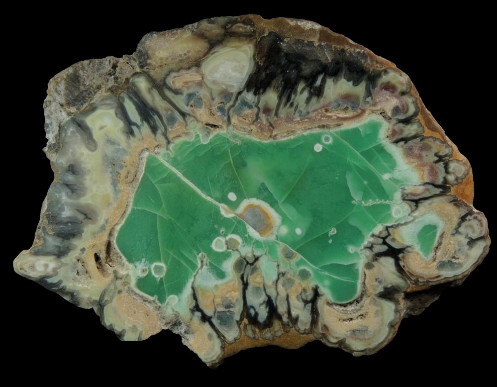 Variscite, Wardite, Crandallite from Little Green Monster Variscite Mine, Clay Canyon, Fairfield, Utah