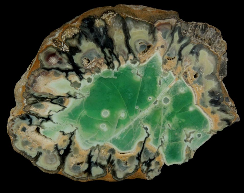 Variscite, Wardite, Crandallite from Little Green Monster Variscite Mine, Clay Canyon, Fairfield, Utah