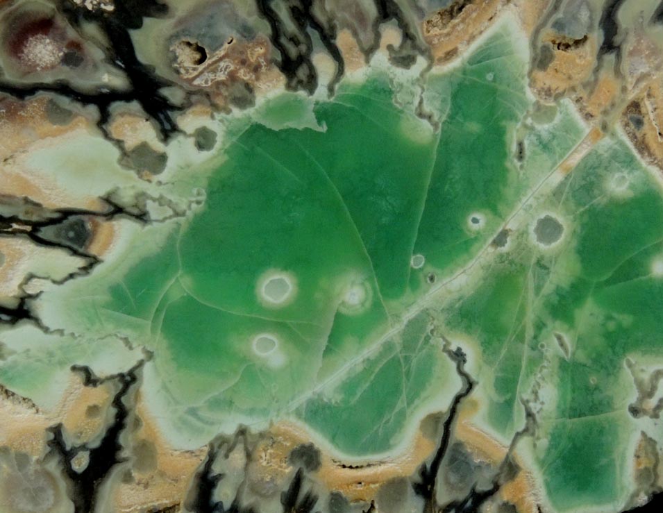 Variscite, Wardite, Crandallite from Little Green Monster Variscite Mine, Clay Canyon, Fairfield, Utah