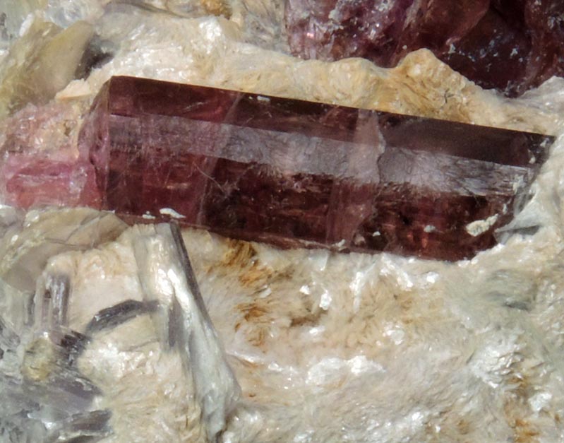 Elbaite var. Rubellite Tourmaline in Muscovite from Karibib District, Erongo Region, Namibia