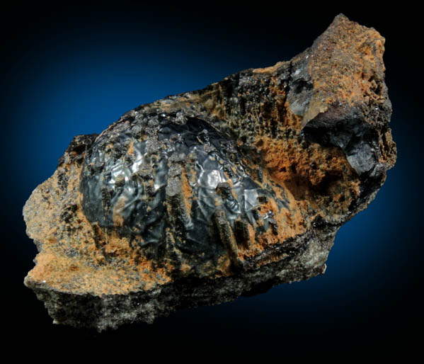 Goethite from Serpentine highlands, Staten Island, New York City, Richmond County, New York