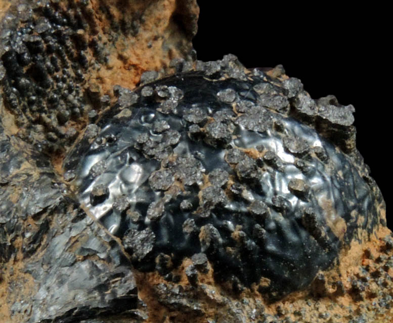 Goethite from Serpentine highlands, Staten Island, New York City, Richmond County, New York