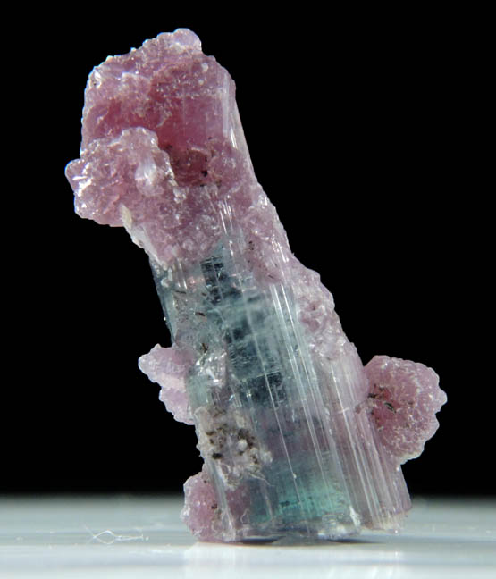 Lepidolite on Elbaite Tourmaline from Pederneira Mine, Sao Jos da Safira, Minas Gerais, Brazil