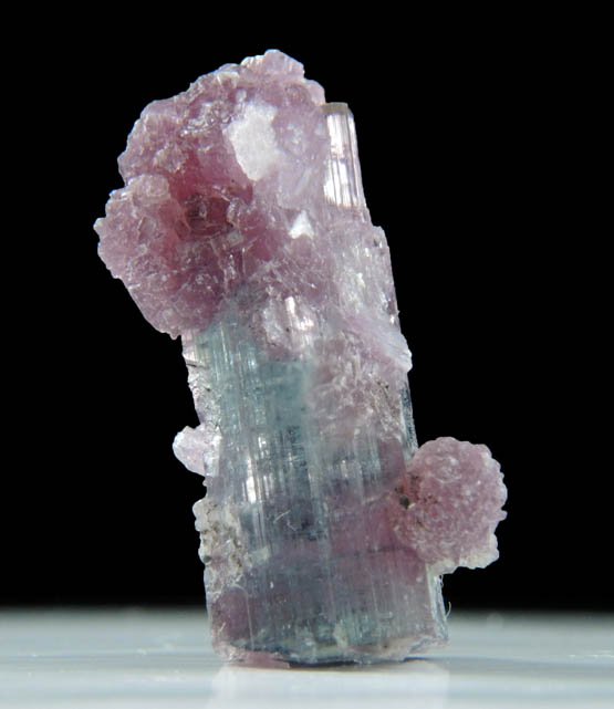 Lepidolite on Elbaite Tourmaline from Pederneira Mine, Sao Jos da Safira, Minas Gerais, Brazil