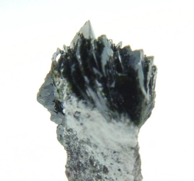 Volborthite from Milpillas Mine, Cuitaca, Sonora, Mexico