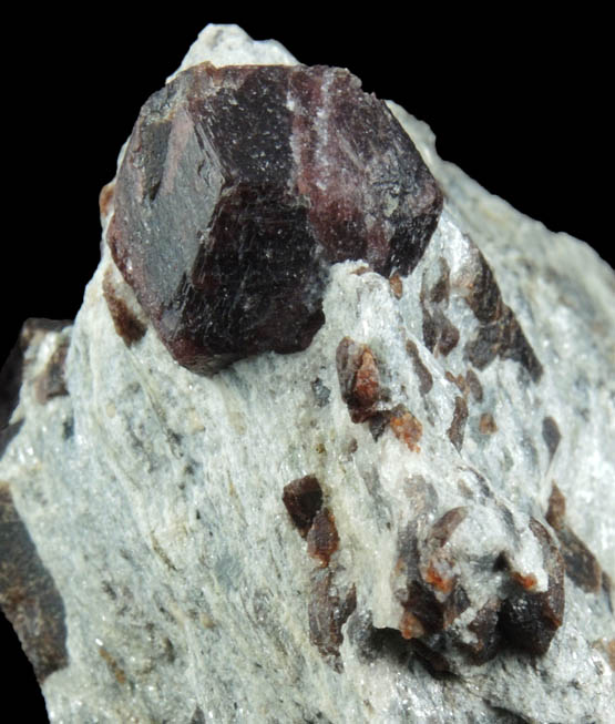 Almandine Garnet with Staurolite from Green's Farm, 750 m. ESE of Roxbury Falls, Roxbury, New Haven County, Connecticut