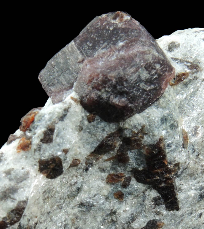 Almandine Garnet with Staurolite from Green's Farm, 750 m. ESE of Roxbury Falls, Roxbury, New Haven County, Connecticut